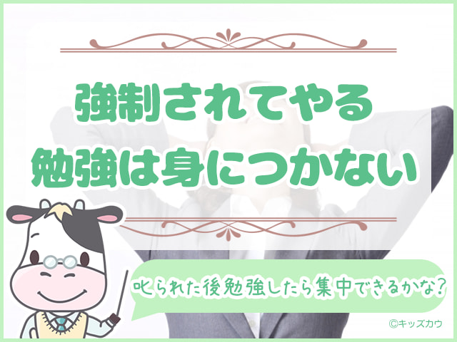 強制されてやる勉強は身につかないから