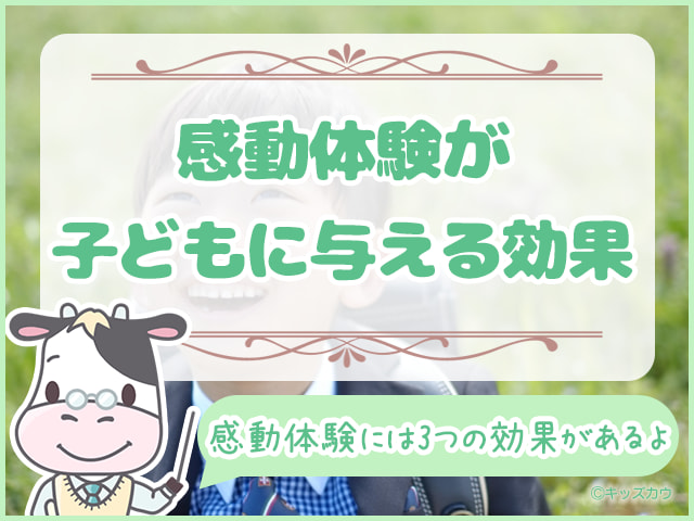 感動体験が子どもに与える3つの効果