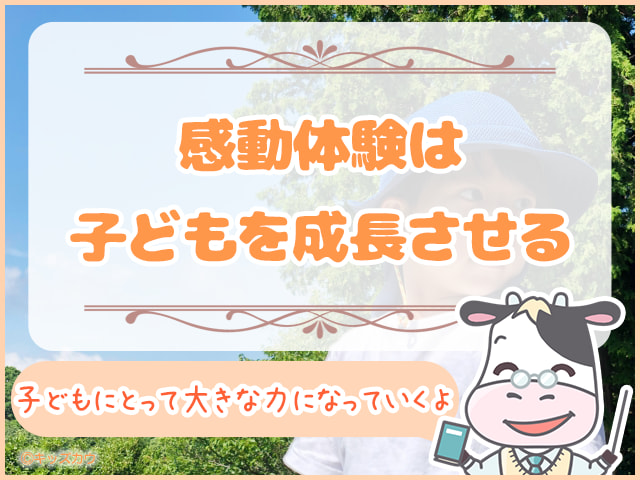 感動体験を積み上げることで子どもは大きく成長する